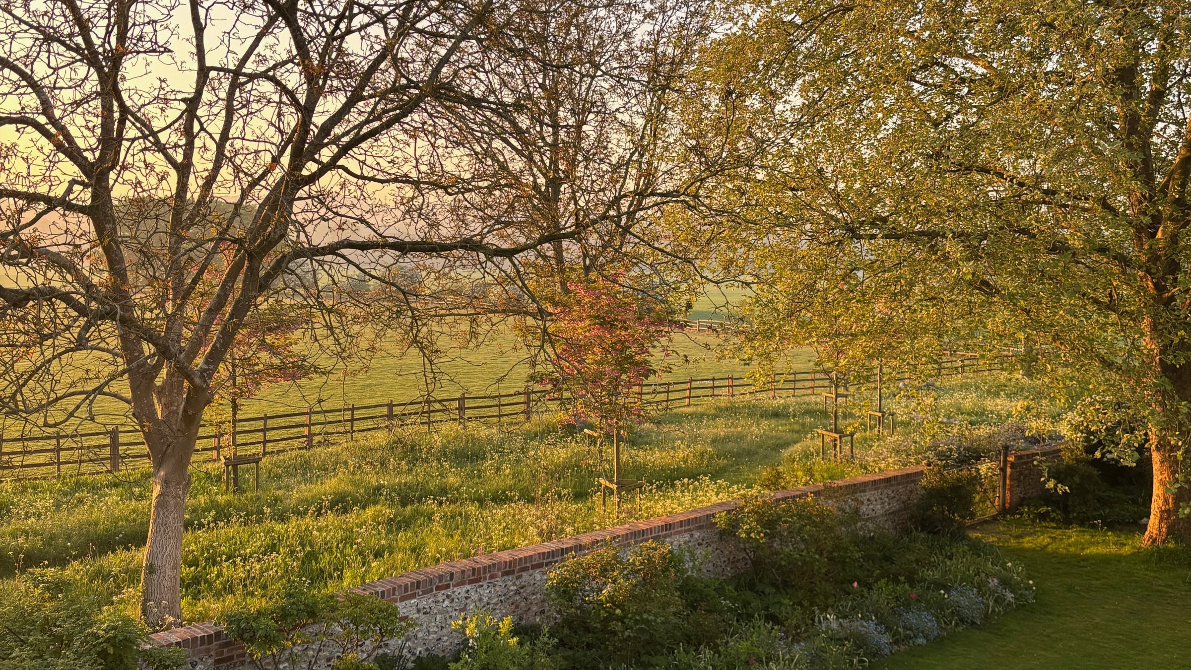 Early morning light on a flint and brick garden wall, with a wildflower meadow, paddock fencing and young trees beyond