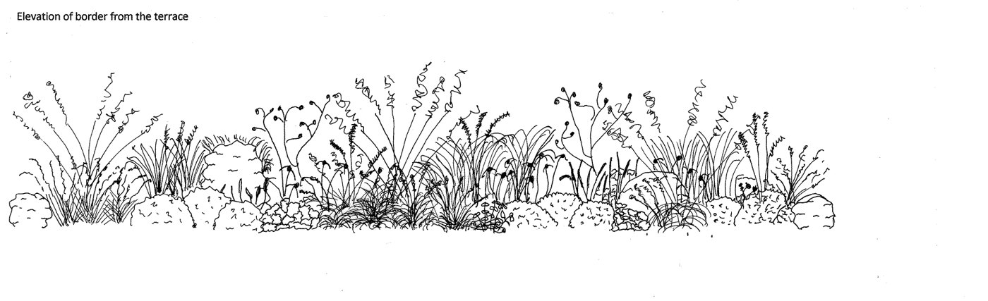 Elevation of the Lawn Border from the terrace
